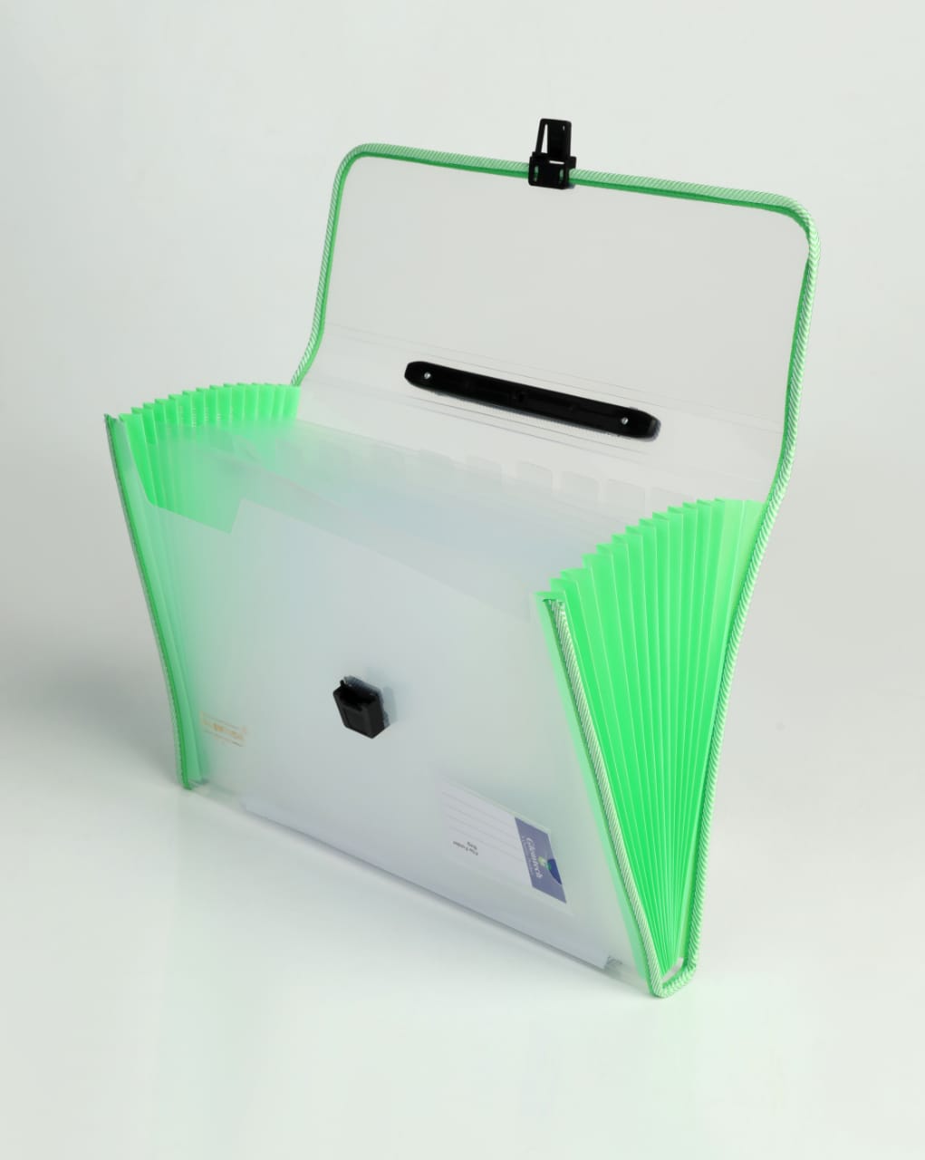 Premium Expandable Folder 13 Pocket Transparent - A4 Size Document Organizer