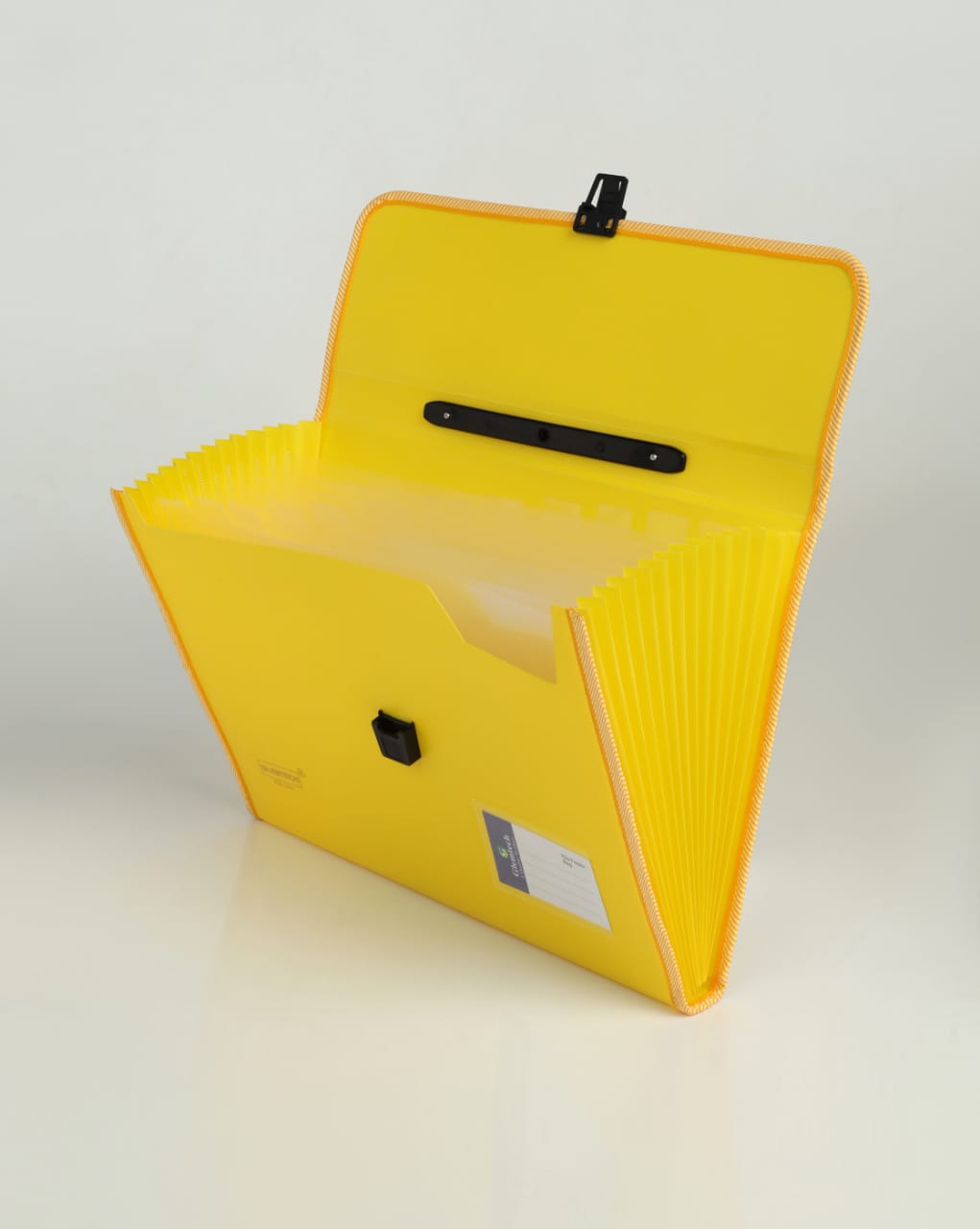 Opaque Expandable Folder 13 Pocket A4 Size Document Organizer