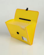 Opaque Expandable Folder 13 Pocket A4 Size Document Organizer