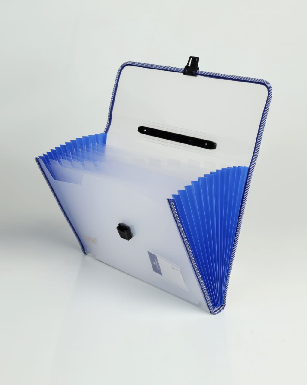 Premium Expandable Folder 13 Pocket Transparent - A4 Size Document Organizer