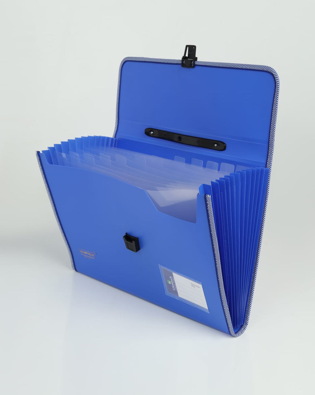 Opaque Expandable Folder 13 Pocket A4 Size Document Organizer