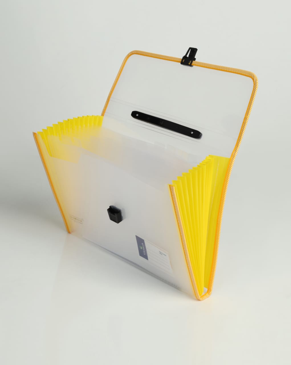 Premium Expandable Folder 13 Pocket Transparent - A4 Size Document Organizer