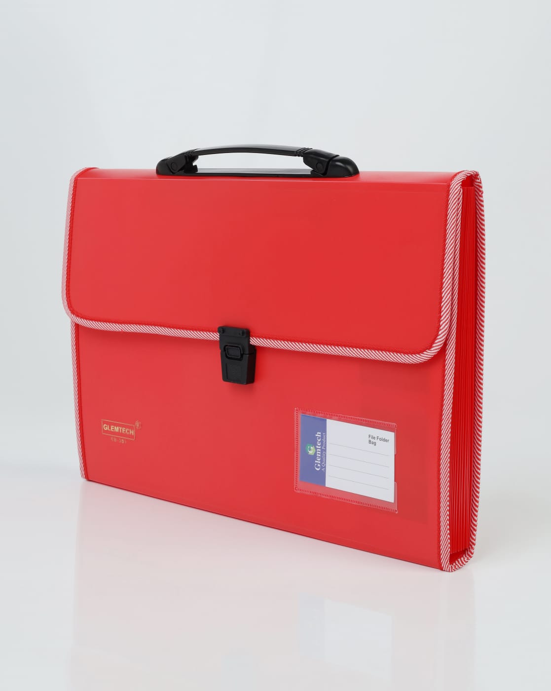 Opaque Expandable Folder 13 Pocket A4 Size Document Organizer