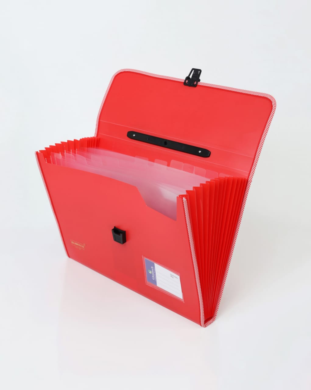 Opaque Expandable Folder 13 Pocket A4 Size Document Organizer