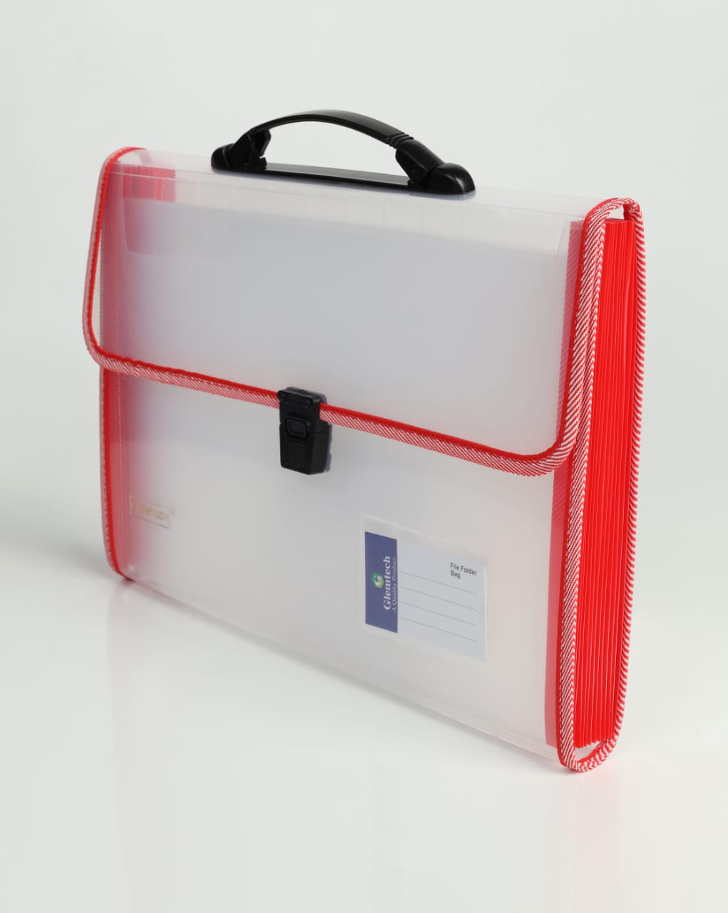 Premium Expandable Folder 13 Pocket Transparent - A4 Size Document Organizer
