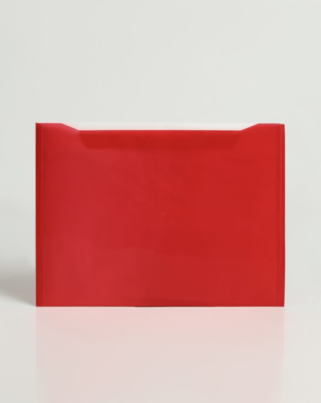 Double Pocket Transparent File Folder PP Material A4 Size Single Button Closure